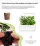 Сменный картридж Click&Grow Мята 3 шт (4742793007397) - изображение 3