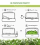 Сменный картридж Click&Grow Мята 3 шт (4742793007397) - изображение 8