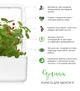 Сменный картридж Click&Grow Дикая клубника (4742793007410) - изображение 6