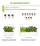 Сменный картридж Click&Grow Дикая клубника (4742793007410) - изображение 8