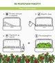 Сменный картридж Click&Grow красный сладкий перец 3 капсулы (4742793009278) - изображение 9