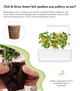 Сменный картридж Click&Grow желтые мини-томаты 3 капсулы (4742793009124) - изображение 3