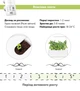 Сменный картридж Click&Grow карликовый горошек 3 капсулы (4742793008998) - изображение 5
