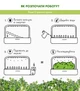 Сменный картридж Click&Grow карликовый горошек 3 капсулы (4742793008998) - изображение 9