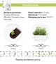 Сменный картридж Click&Grow Розмарин 3 шт (4742793008936) - изображение 6