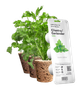 Wkład wymienny Click&Grow Kolendra 3 szt (4742793008417) - obraz 1