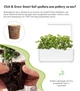 Змінний картридж Click&Grow Коріандр (8417) - изображение 7