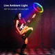 Світодіодна кільцева LED RGB MJ33 лампа з тримачем телефону, 16 різнокольорових режимів від USB 33 см - изображение 6