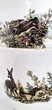 Сервиз чайный Gloria fine porcelain Bavaria Handwork Bayreuth Made in Germany Охота 12 предметов d-16см, 250мл - изображение 4
