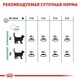 Корм для котов Royal Canin Hairball Care при образовании комочков шерсти в желудке от 12 месяцев до 7 лет 10 кг - изображение 6