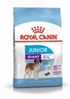 Сухий корм для щенят Royal Canin Giant Junior для гігантських порід від 8 місяців 15 кг - зображення 1