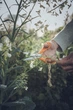 Ножиці універсальні Fiskars S92 (1000555/111030) - зображення 3