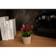Штучна квітка в горщику Decoramo, 6,5*13,5см, (DC-73) (65784-30) - зображення 2