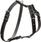 Шлейка Collar одинарна для дрібних і середніх собак (ширина 20 мм, А:40-56 см, В:57-65 см) Чорна (06361Collar) - зображення 1