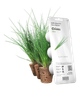 Сменный картридж Click&Grow Зеленый лук 3 шт (4742793007540) - изображение 1