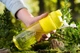 Бутылка для воды Ardesto Smart bottle AR-2204-TZ 1 л желтая - изображение 1
