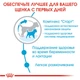 Сухой корм для собак Royal Canin Mini Starter для мелких пород до 10 кг беременных и кормящих 8 кг - изображение 3