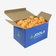 Мячики Joola Training 120pcs Orange 44280J - изображение 3