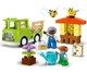 Конструктор LEGO DUPLO Догляд за бджолами та вуликом (10419) - изображение 2