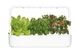 Розумний сад - гідропонна установка для рослин Click&Grow Smart Garden 9 (8868 SG9) - изображение 2