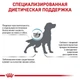 Сухой корм для собак Royal Canin Skin Care при дерматозах и выпадении шерсти 11 кг - изображение 2