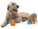 Іграшка для собак West Paw Zogoflex Tux Treat для ласощів 13 см Салатовий (ZG041GRN) - зображення 2