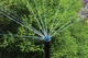 Форсунка Hunter MP 1000 Rotator радіус від 2,5 до 4,5 м сектор від 90 до 210° - зображення 15