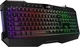 Клавіатура Genius Scorpion K11 Pro RGB USB UA Black (31310007406) - зображення 2