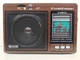 Радіоприймач FM Golon RX-9966 USB/SD з ручкою brown - зображення 1