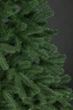 Ялинка лита "Президентська" Зелена 1,80м (SG4829220800186) ТМ SigaGroup - зображення 13