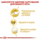 Набір кормів для котів Royal Canin Maine Coon Adult 2 кг + 4 pouch вологого корму - домашній птах - зображення 7
