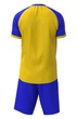 Форма волейбольная мужская RIGO OMEGA Yellow-Blue 2XL - изображение 3
