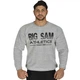 Реглан Big Sam 4695 М Серый - изображение 2