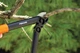 Сучкорез контактный с силовым приводом Fiskars PowerGear (S) L31 (1000581/112170) - изображение 4