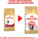 Sucha karma Royal Canin Persian Kitten dla kociąt rasy perskiej 2 kg (3182550721219) - obraz 2