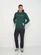Худи мужское Tommy Hilfiger 11262.2 2XL (52) Зеленое (2000000004761) - изображение 3