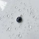 Серебряная подвеска с сапфиром 5.31ct (2150619) - изображение 3