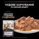 Промо набор Упаковка влажного корма для котят Purina Pro Plan Kitten Healthy Start кусочки в соусе с индейкой 10 x 85 г (7613034767646) - изображение 7