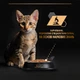 Промо набор Упаковка влажного корма для котят Purina Pro Plan Kitten Healthy Start кусочки в соусе с индейкой 10 x 85 г (7613034767646) - изображение 9