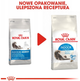 Сухий корм Royal Canin Indoor Long Hair для стерилізованих довгошерстих котів 4 кг (3182550739405) - зображення 3