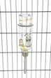 Поилка для грызунов Trixie Honey & Hopper 250 мл Стекло (TX-60446) - изображение 2