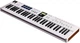 MIDI-клавиатура Arturia KeyLab Essential 61 mk3 (White) + Arturia Pigments - изображение 3