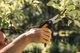 Універсальні ножиці Fiskars SingleStep SP28 (1000571/111280) - зображення 3