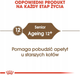 Сухий корм Royal Canin Senior Ageing для котів 12+ 2 кг (3182550786218) - зображення 6