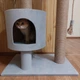 Когтеточка дряпка Вэнди 2 с лежанкой для кота, котят 90х60х40см серая - изображение 5