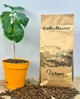 Кава в зернах Coffeemaster Vietnam Gourmet Blend 1 кг - изображение 2
