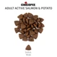 Сухой корм для взрослых активных собак лосось и картофель Chicopee HNL Active Salmon & Potato 2 кг - изображение 2