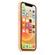 Чехол силиконовый Nskins Premium (AAA) Silicone Case with MagSafe для Apple iPhone 12 Pro Max (6.7") Cantaloupe - изображение 3