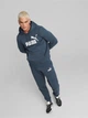 Худи мужское Puma Ess Big Logo Hoodie Fl (S) 586687-61 XL Светло-зеленое (4065453057168) - изображение 5