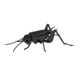 Картонная модель 3D "Cricket-Сверчек" Fridolin 11603 - изображение 1